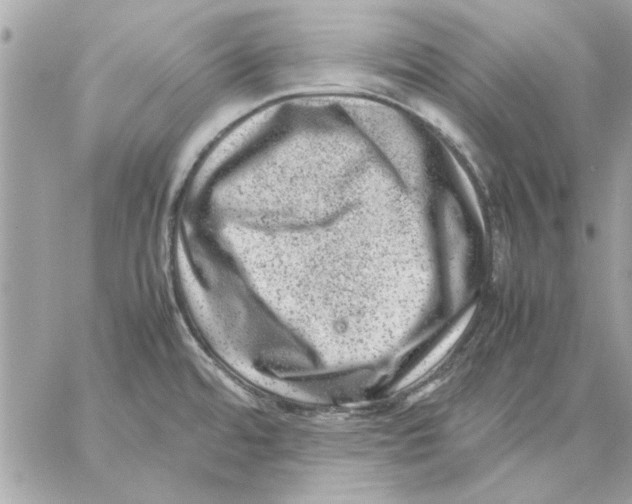 X0000057081480200510071832