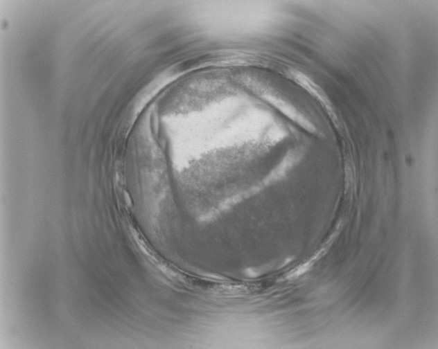 X0000057081481200510071832