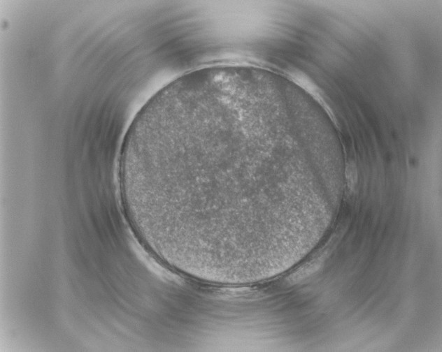 X0000057081482200510071832