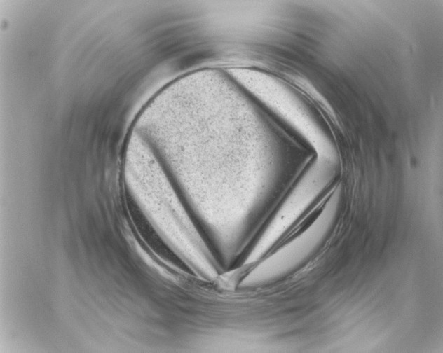 X0000057081484200510071832