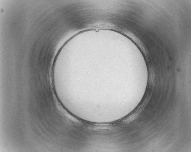 X0000057081486200510071832