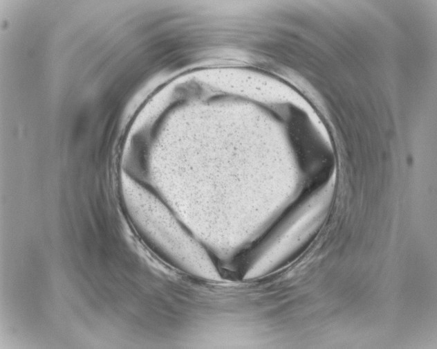 X0000057081488200510071832