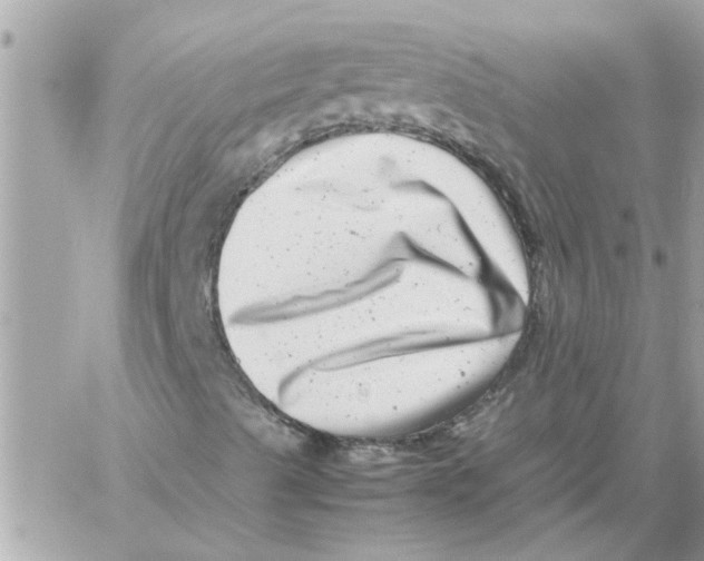 X0000057081489200510071831