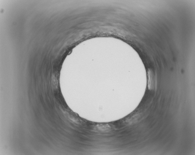 X0000057081491200510071831