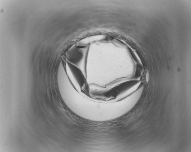 X0000057081492200510071831