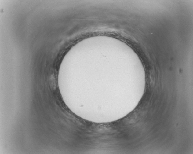 X0000057081493200510071831