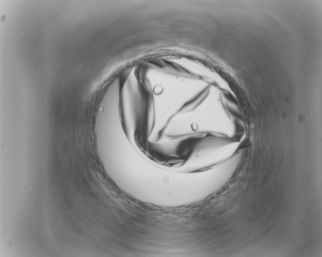 X0000057081496200510071831