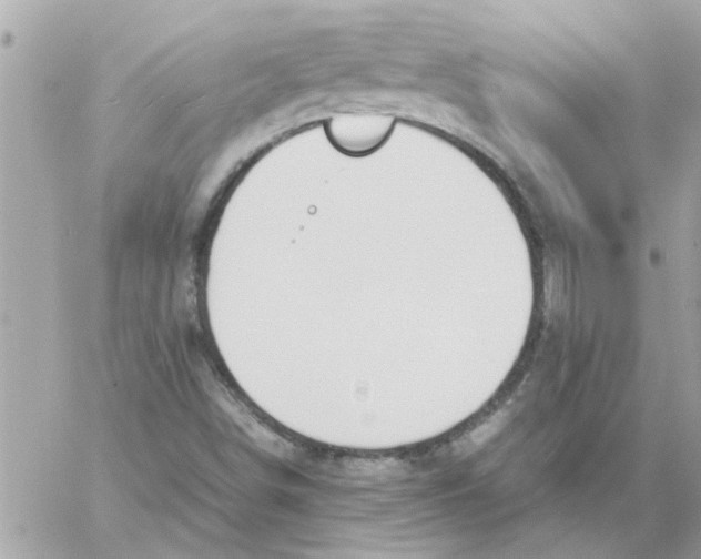 X0000057081498200510071831