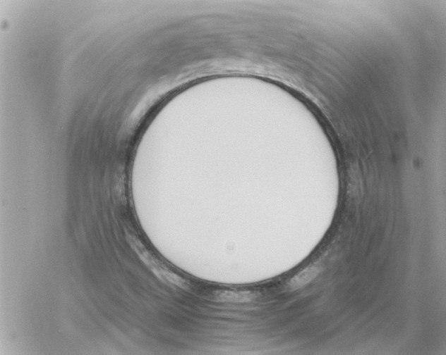 X0000057081499200510071831