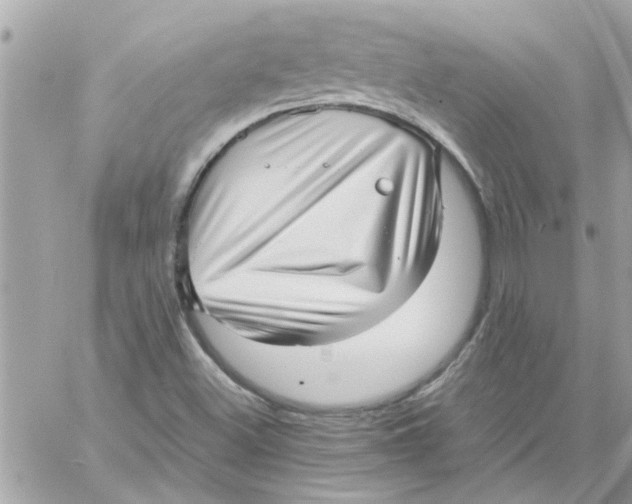 X0000057081500200510071831