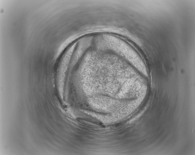 X0000057081501200510071831