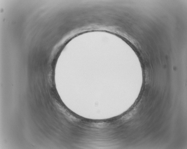 X0000057081502200510071831