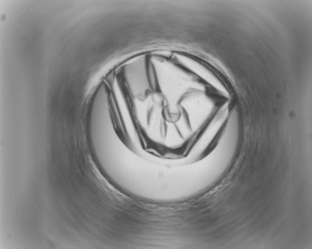 X0000057081504200510071832