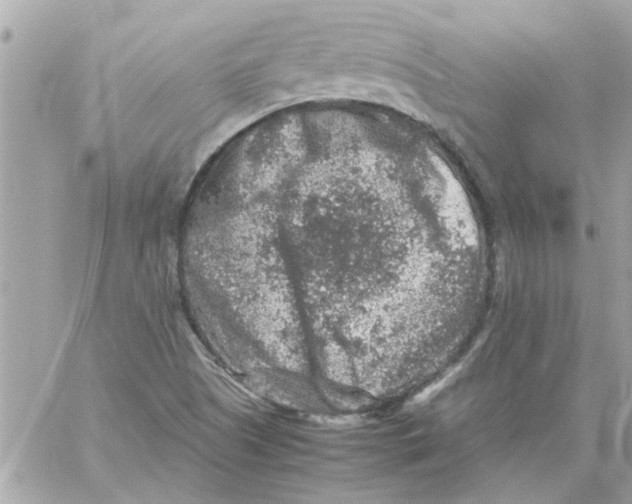 X0000057081505200510071832