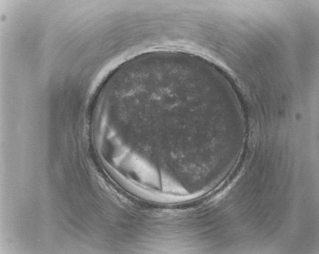 X0000057081506200510071832