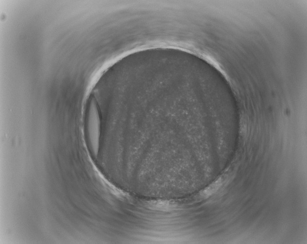 X0000057081508200510071832