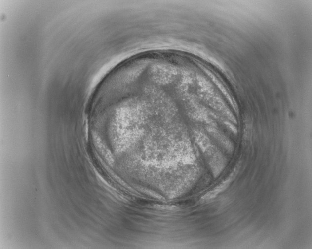 X0000057081509200510071832