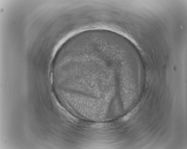 X0000057081510200510071832