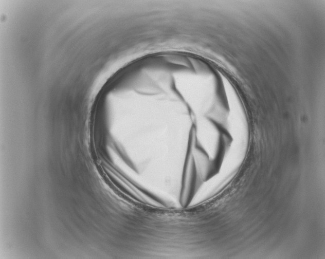 X0000057081512200510071832