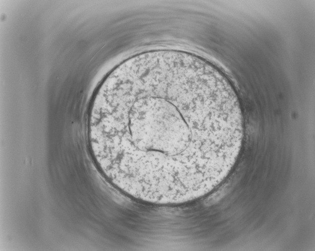 X0000057081514200510071832