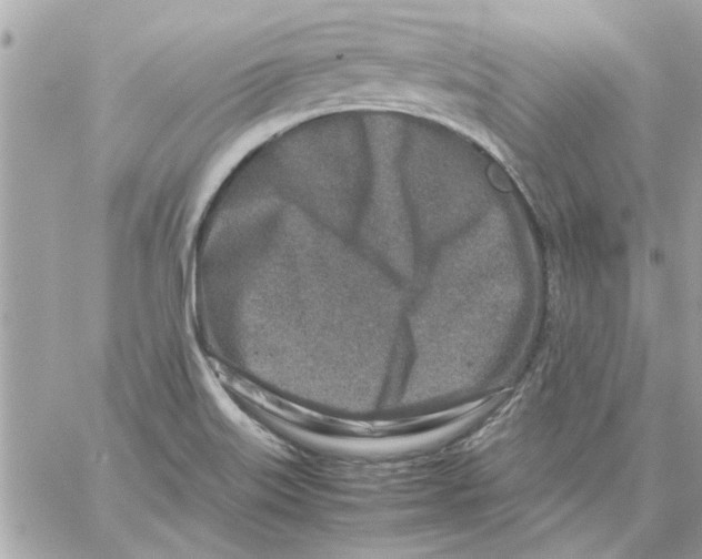 X0000057081515200510071832