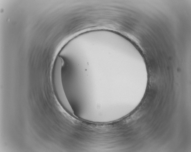 X0000057081516200510071832