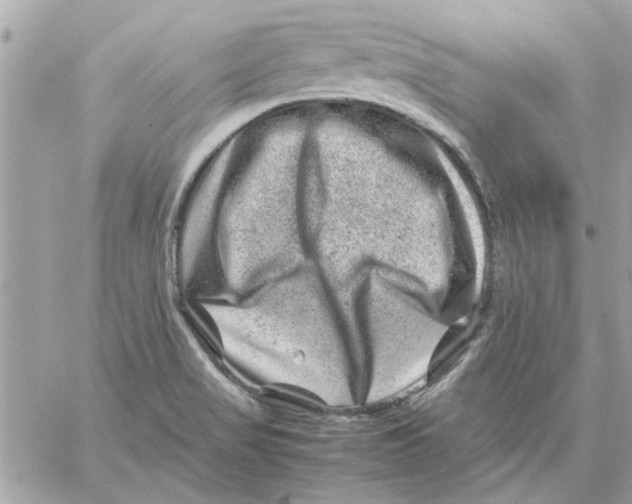 X0000057081517200510071832