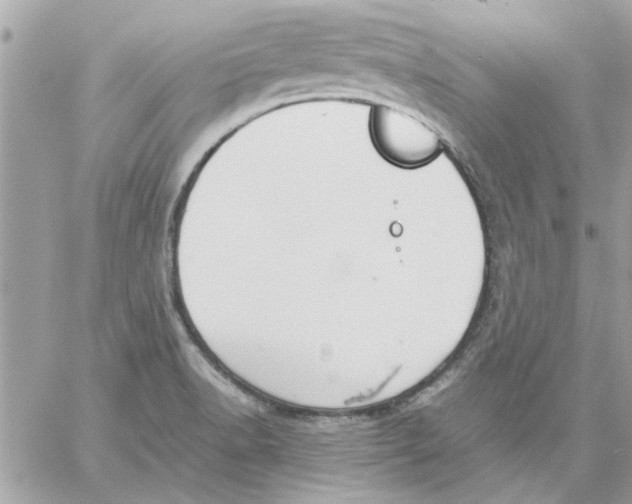 X0000057081518200510071832