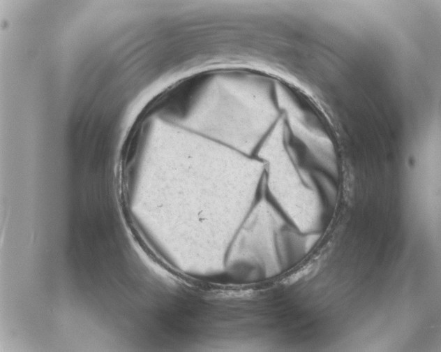 X0000057081519200510071832