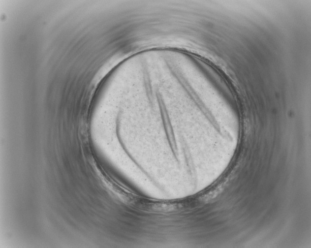 X0000057081521200510071832