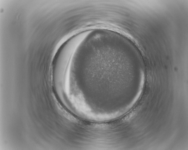 X0000057081522200510071832