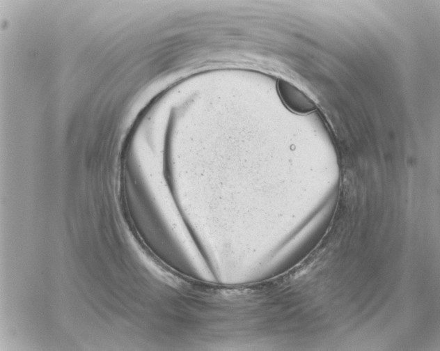 X0000057081523200510071832