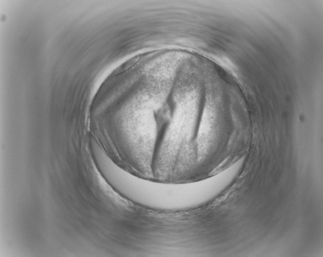 X0000057081524200510071832