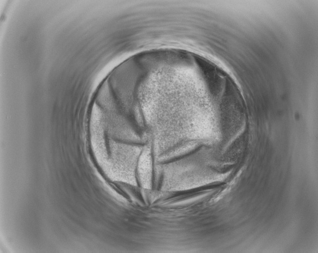 X0000057081525200510071832