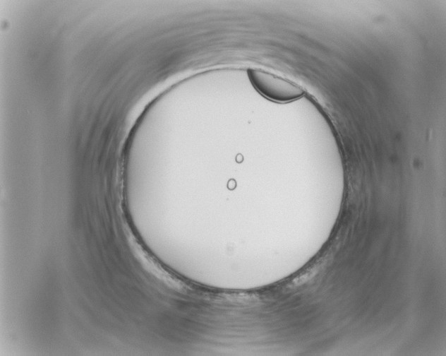 X0000057081526200510071832