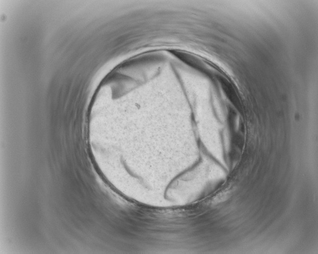 X0000057081527200510071832