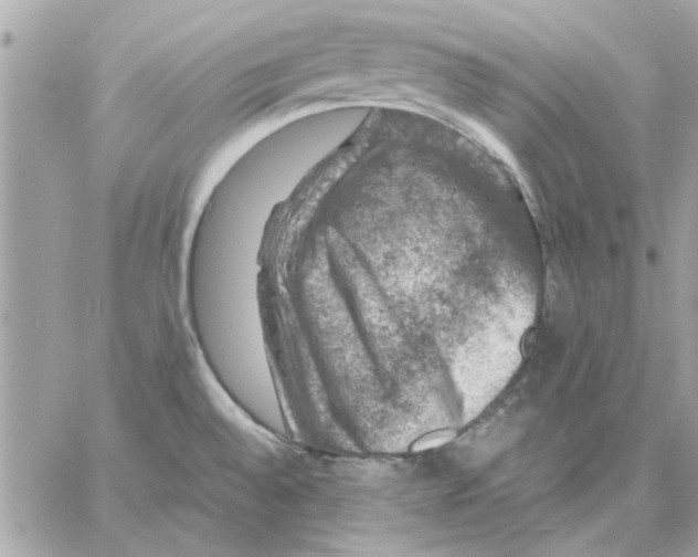 X0000057081528200510071832