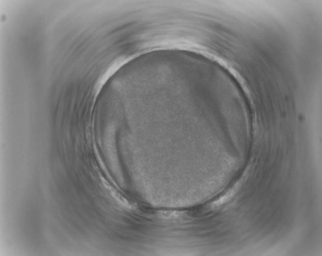 X0000057081529200510071832