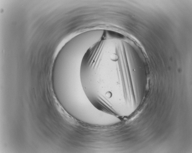 X0000057081530200510071832