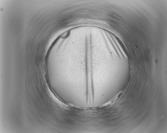 X0000057081531200510071832