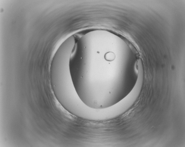 X0000057081532200510071832