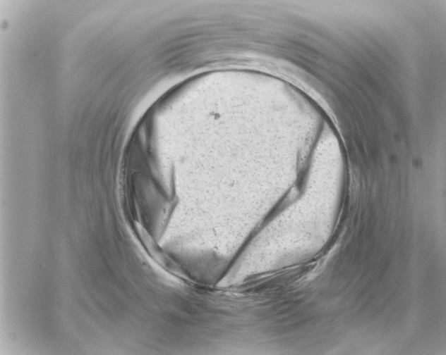 X0000057081533200510071832