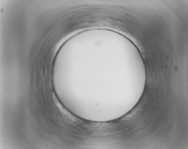 X0000057081534200510071832