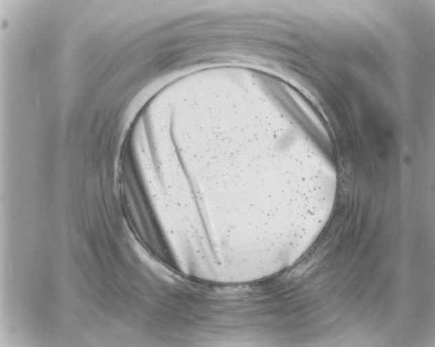 X0000057081535200510071832