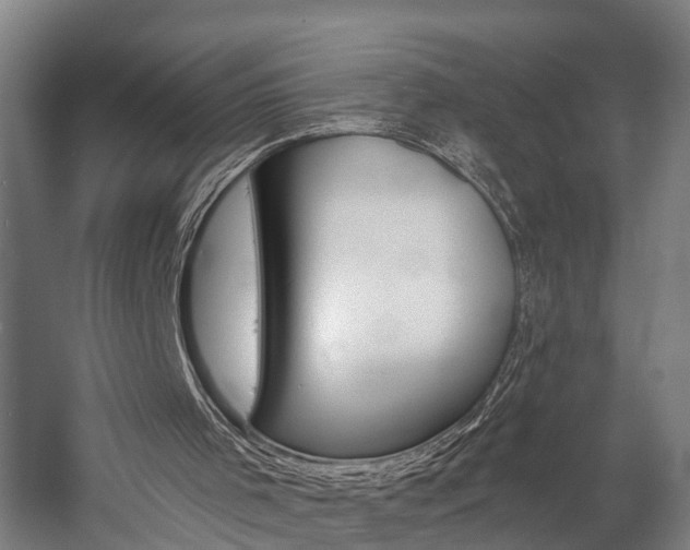 X0000057090001200509090951