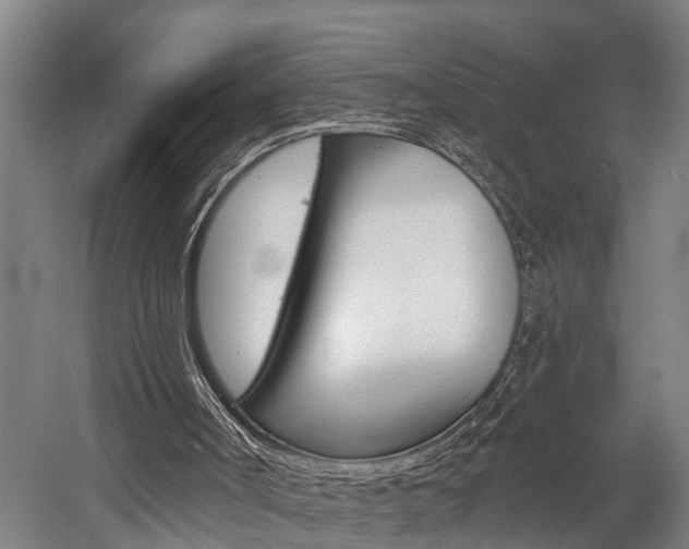 X0000057090002200509090951