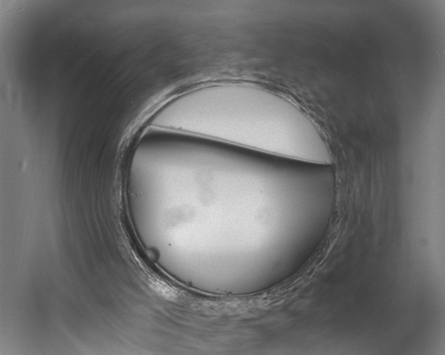 X0000057090005200509090951