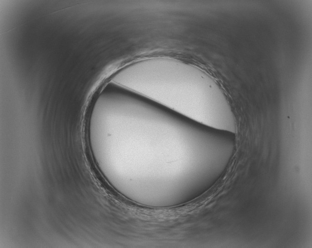 X0000057090006200509090951