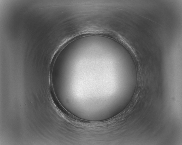 X0000057090011200509090951