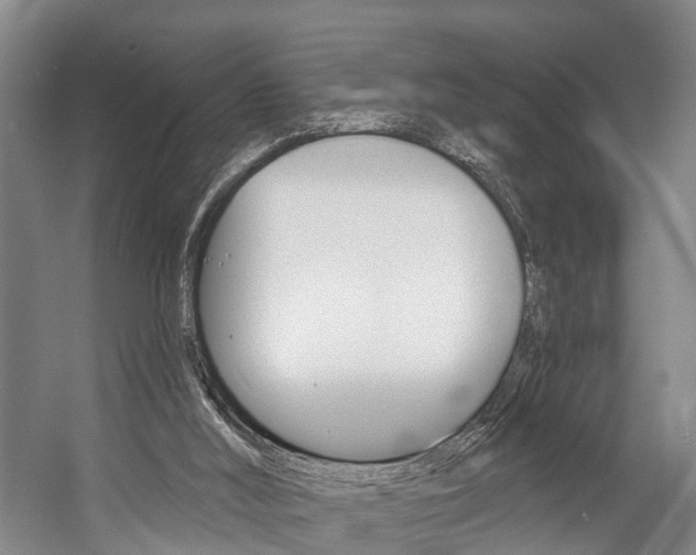 X0000057090012200509090951